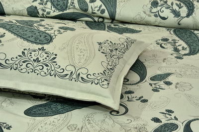 Braise Premium | King Size 100 x 108 in | 100% Pure Cotton | Bedsheet For Double Bed with 2 Pillow Covers