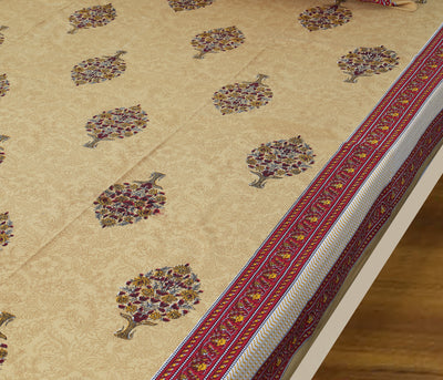 Braise Premium | Full Size 90 x 108 in | 100% Pure Cotton | Double Bedsheet with 2 Pillow Covers (NS02)